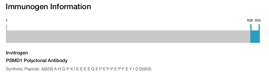 PSMD1 Polyclonal Antibody