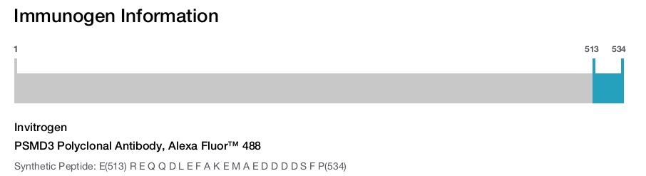 PSMD3 Polyclonal Antibody, Alexa Fluor&trade; 488
