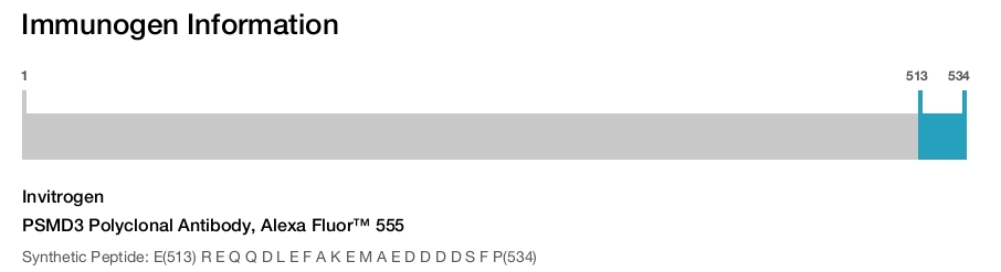 PSMD3 Polyclonal Antibody, Alexa Fluor™ 555