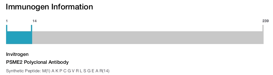 PSME2 Polyclonal Antibody