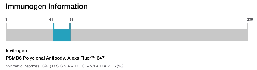 PSMB6 Polyclonal Antibody, Alexa Fluor&trade; 647