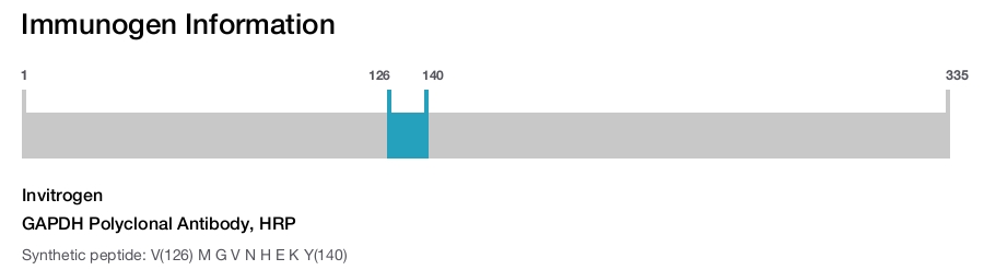 GAPDH Polyclonal Antibody, HRP