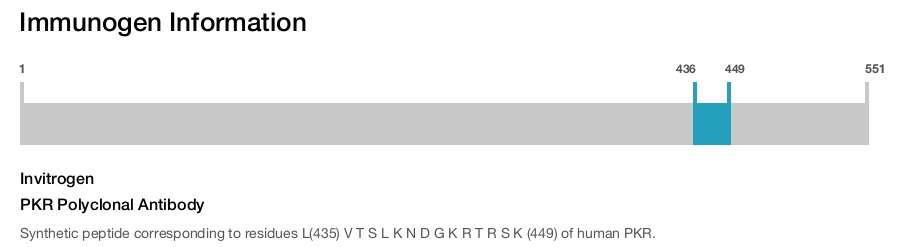 PKR Polyclonal Antibody
