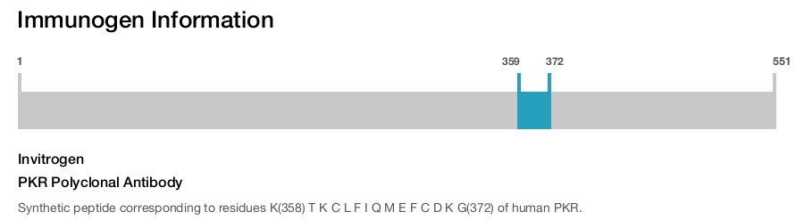 PKR Polyclonal Antibody