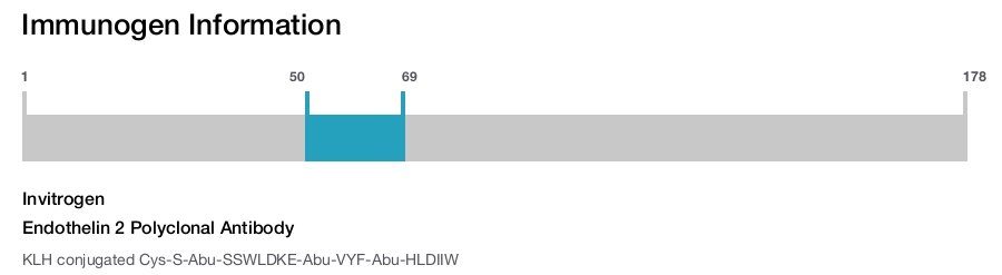 Endothelin 2 Polyclonal Antibody