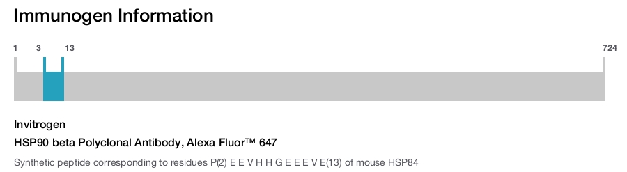 HSP90 beta Polyclonal Antibody, Alexa Fluor™ 647