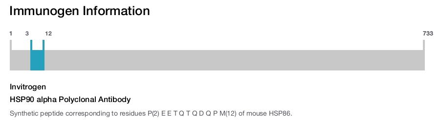 HSP90 alpha Polyclonal Antibody