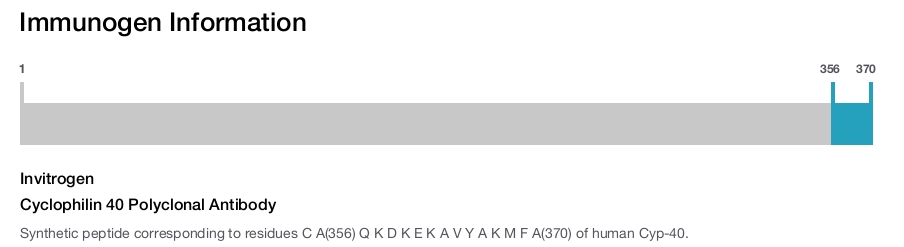 Cyclophilin 40 Polyclonal Antibody