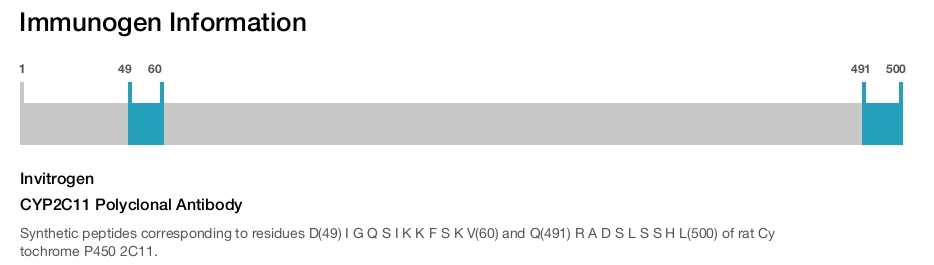 CYP2C11 Polyclonal Antibody