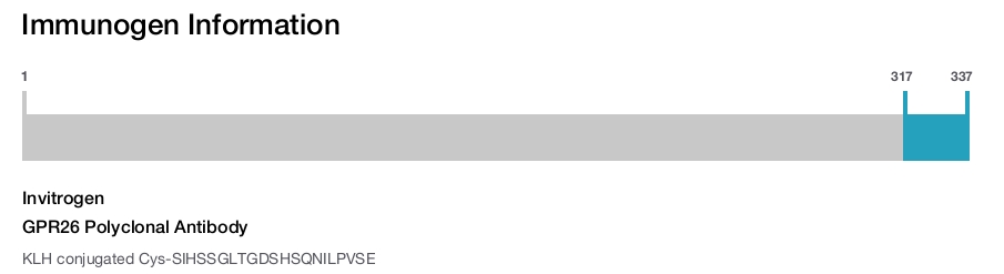 GPR26 Polyclonal Antibody