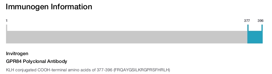 GPR84 Polyclonal Antibody