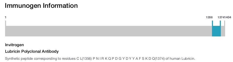 Lubricin Polyclonal Antibody