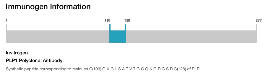 PLP1 Polyclonal Antibody
