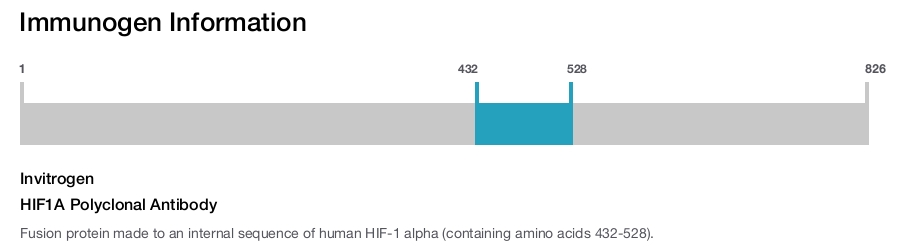 HIF1A Polyclonal Antibody