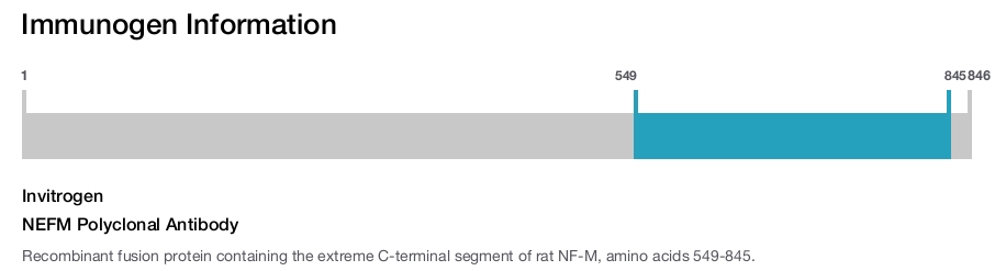 NEFM Polyclonal Antibody