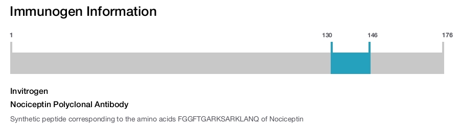 Nociceptin Polyclonal Antibody