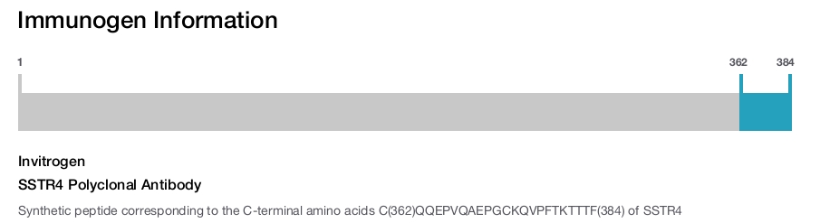 SSTR4 Polyclonal Antibody