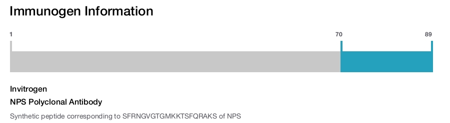 NPS Polyclonal Antibody