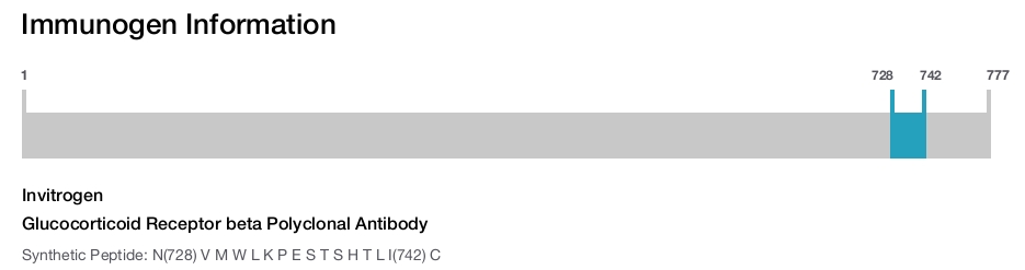 Glucocorticoid Receptor beta Polyclonal Antibody
