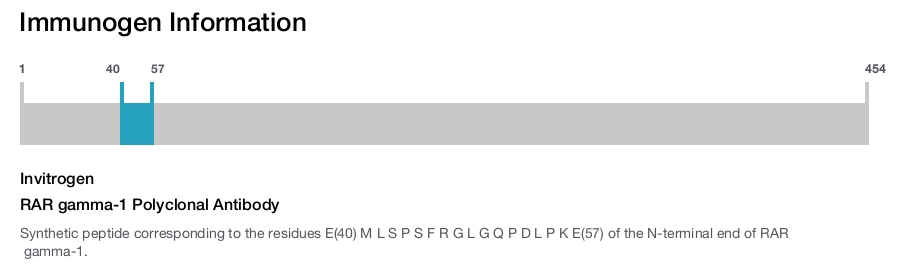 RAR gamma-1 Polyclonal Antibody