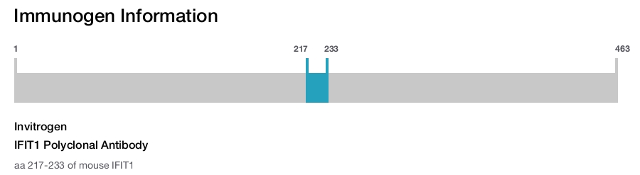 IFIT1 Polyclonal Antibody