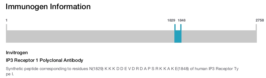 IP3 Receptor 1 Polyclonal Antibody