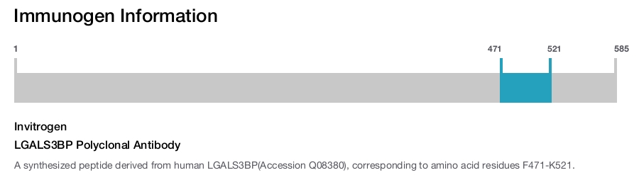 LGALS3BP Polyclonal Antibody