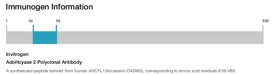 AdoHcyase 2 Polyclonal Antibody