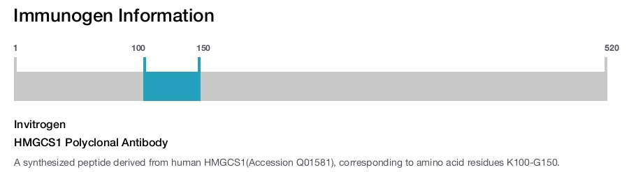 HMGCS1 Polyclonal Antibody