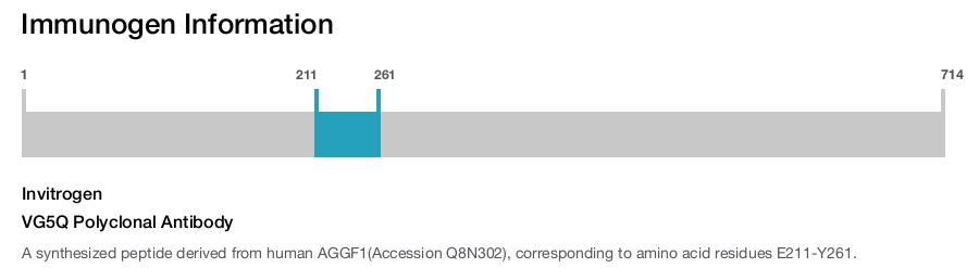 VG5Q Polyclonal Antibody