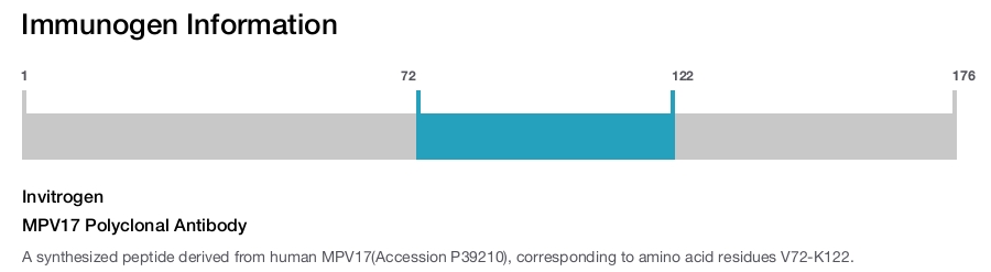 MPV17 Polyclonal Antibody