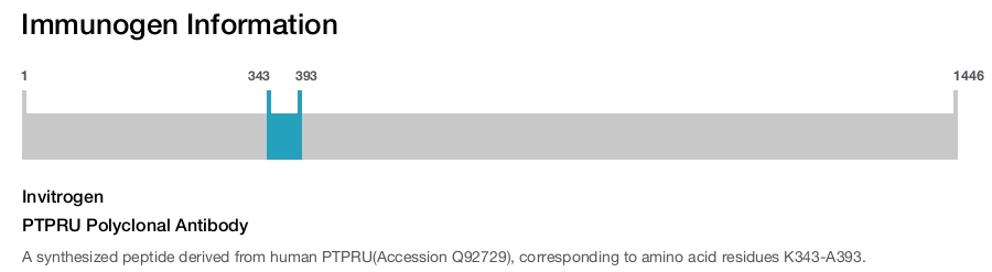 PTPRU Polyclonal Antibody