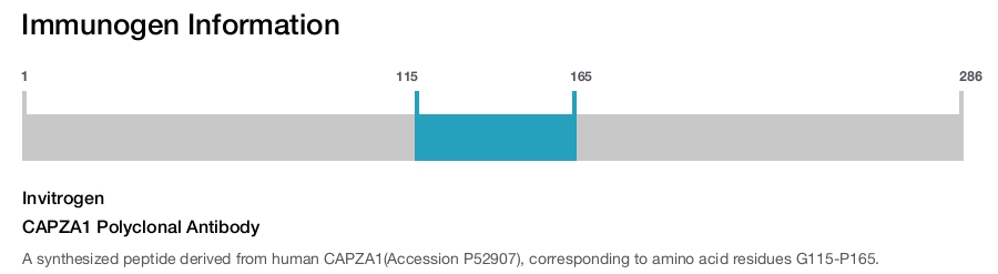 CAPZA1 Polyclonal Antibody