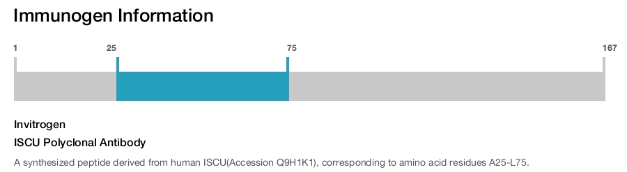 ISCU Polyclonal Antibody