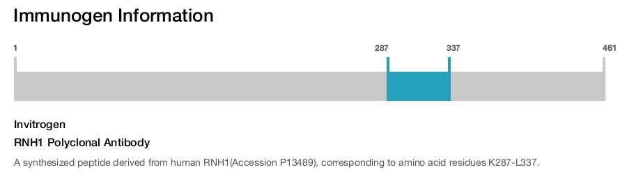 RNH1 Polyclonal Antibody