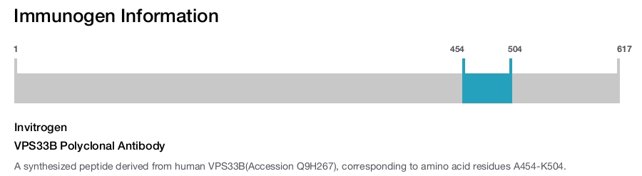 VPS33B Polyclonal Antibody