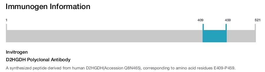 D2HGDH Polyclonal Antibody