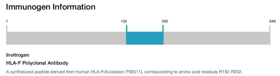 HLA-F Polyclonal Antibody