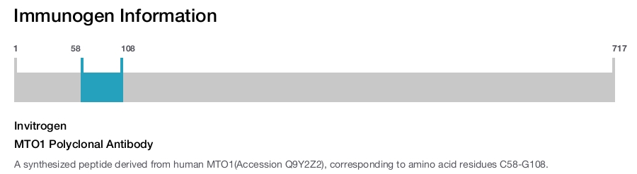 MTO1 Polyclonal Antibody