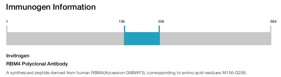 RBM4 Polyclonal Antibody
