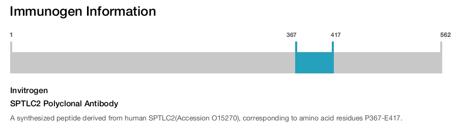 SPTLC2 Polyclonal Antibody