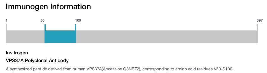 VPS37A Polyclonal Antibody