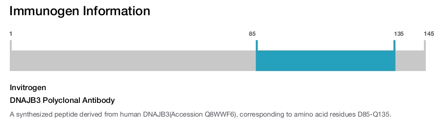 DNAJB3 Polyclonal Antibody