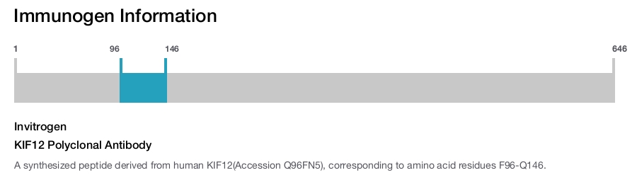 KIF12 Polyclonal Antibody