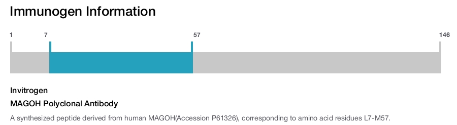 MAGOH Polyclonal Antibody
