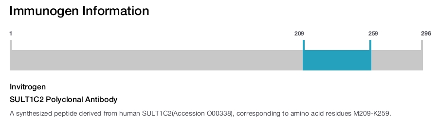SULT1C2 Polyclonal Antibody