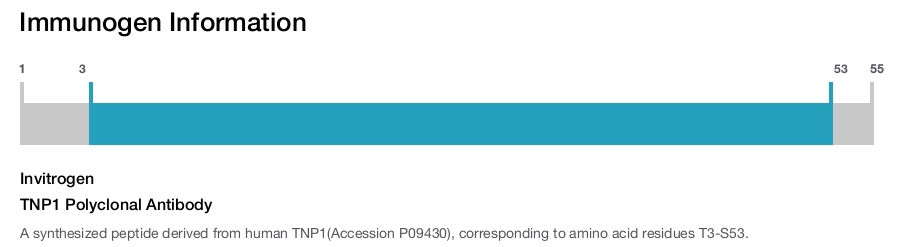 TNP1 Polyclonal Antibody