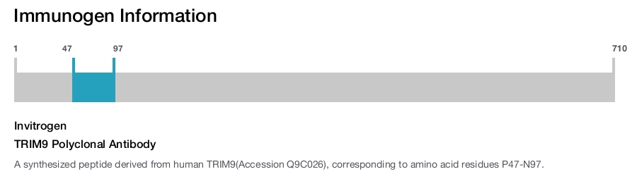TRIM9 Polyclonal Antibody