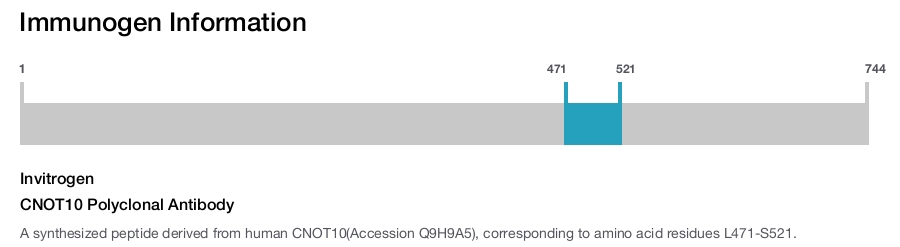 CNOT10 Polyclonal Antibody