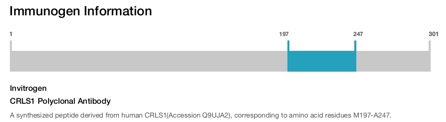 CRLS1 Polyclonal Antibody
